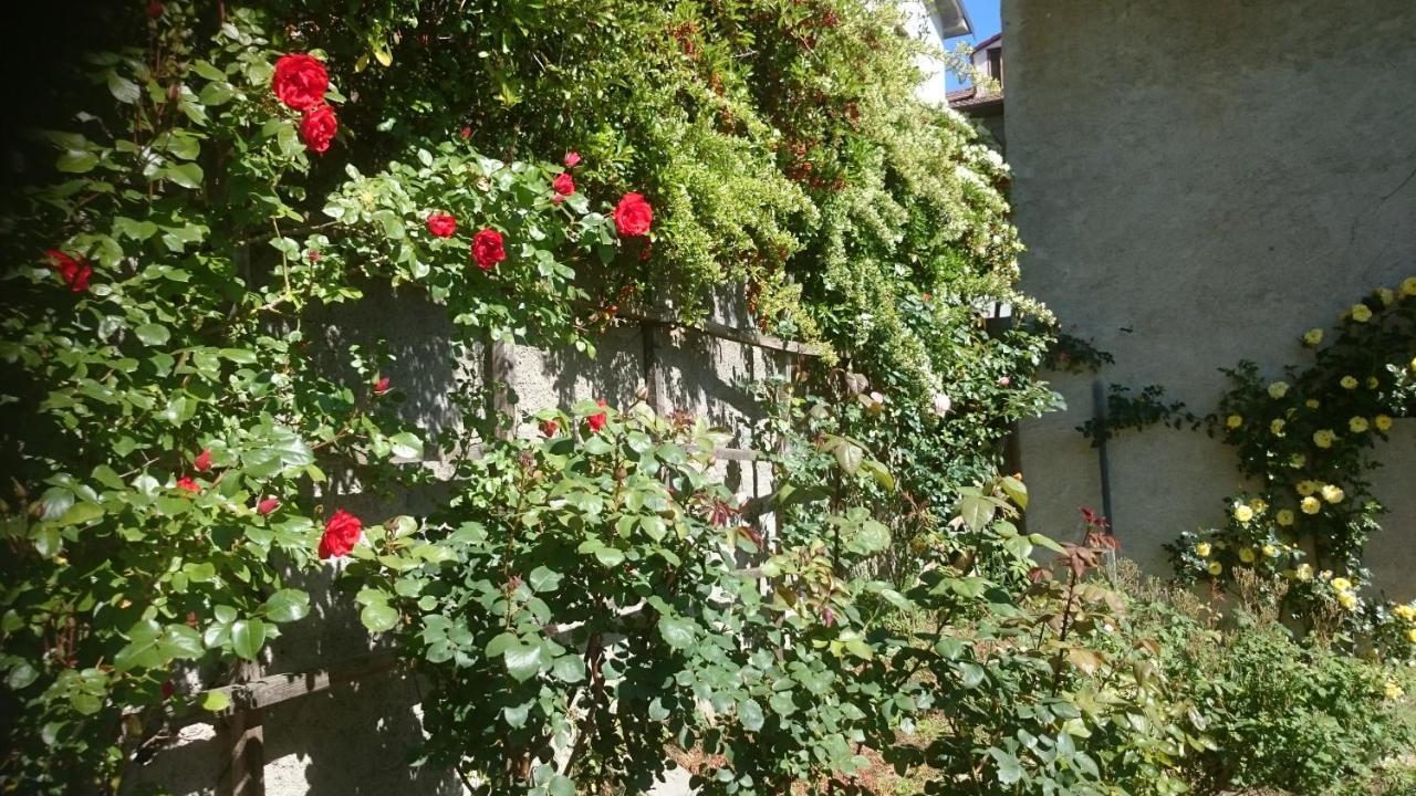 Levice B&B Barbaia מראה חיצוני תמונה